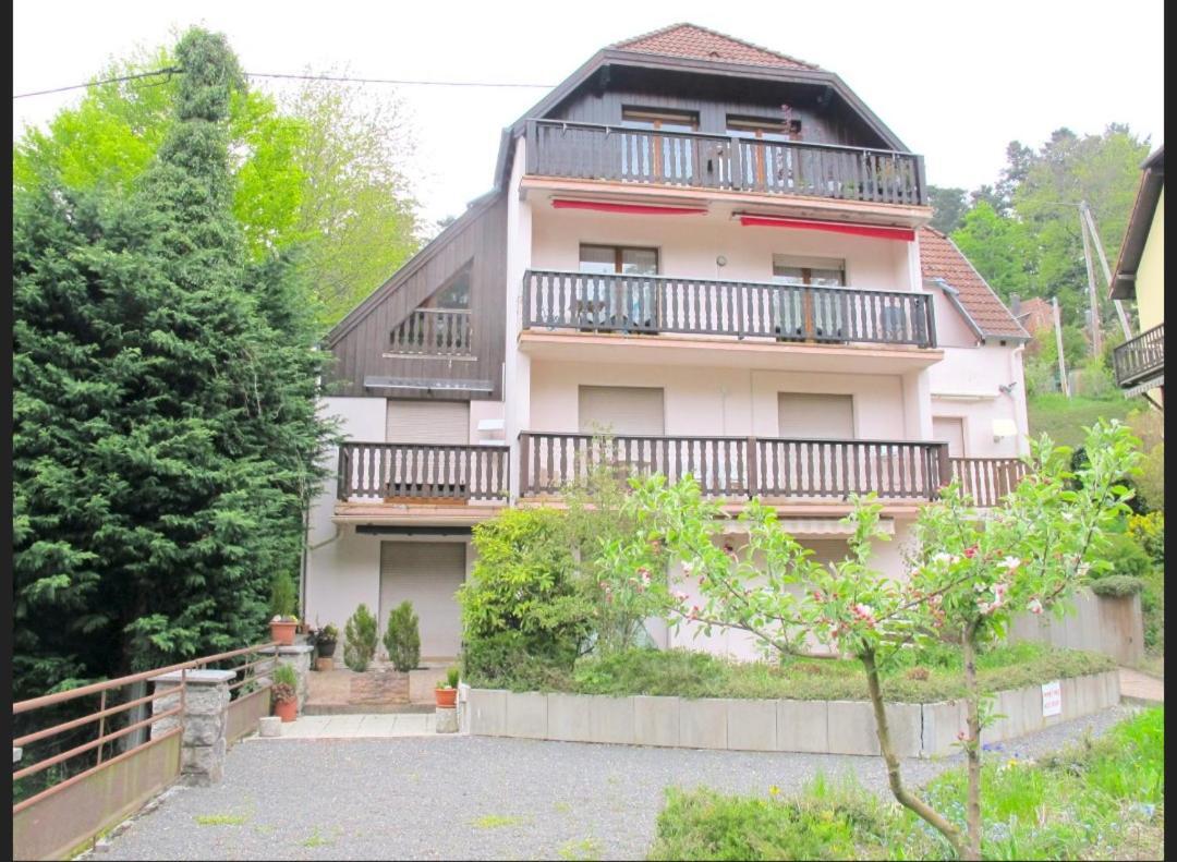Apartmán Studio Le Manet Le Hohwald Exteriér fotografie
