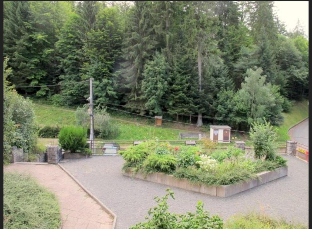 Apartmán Studio Le Manet Le Hohwald Exteriér fotografie